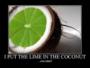 Put The Lime in the Coconut